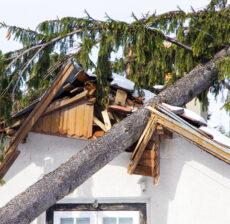 hurricane proof roof
