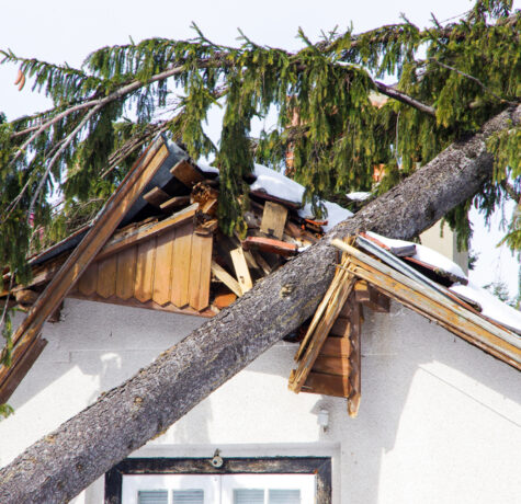 hurricane proof roof